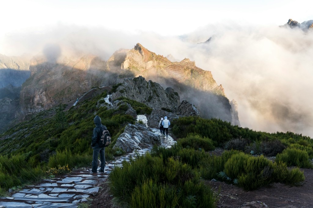 Hikers walking along a levada trail through laurel forest, Madeira, Portugal